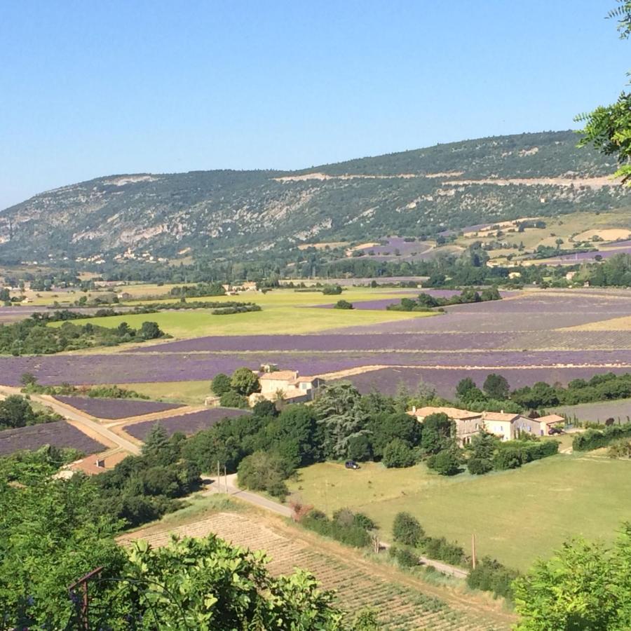 La Maison D'Alice Sault-de-Vaucluse Dış mekan fotoğraf
