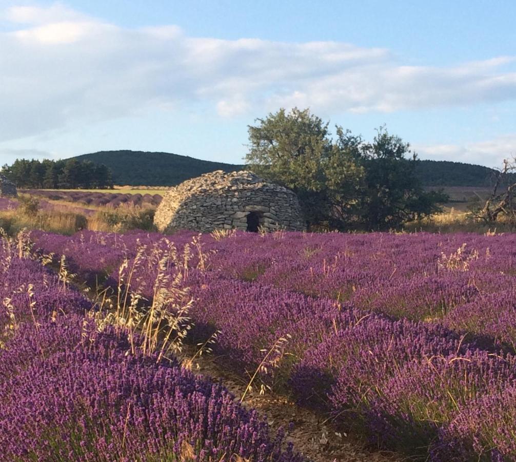 La Maison D'Alice Sault-de-Vaucluse Dış mekan fotoğraf